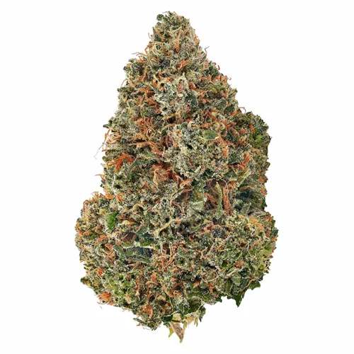 Product image of Poison Kush - Bud Lafleur - Dried Flower