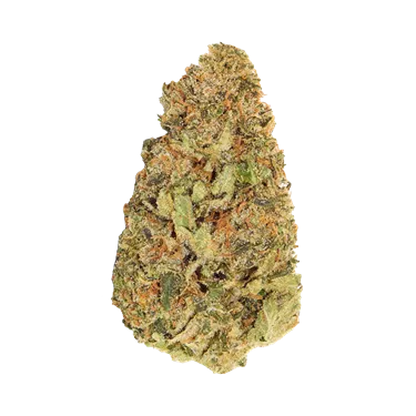 Product image of Where's My Bike - Good Supply - Dried Flower