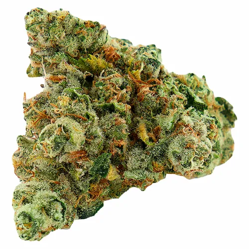 Product image of Blueberry Haze (Blue Milk) - Universe Cannabis - Dried Flower