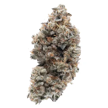 Product image of Frosted Guava Nuts - Northern Canna - Dried Flower