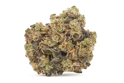 Lime MAC - DOJA - Dried Flower