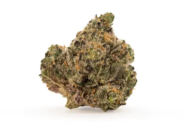 Product image of Zhampayne - Dealr - Dried Flower