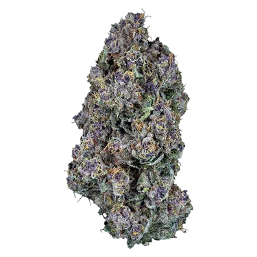 Product image of Triangle Queen - Woody Nelson Country Club - Dried Flower