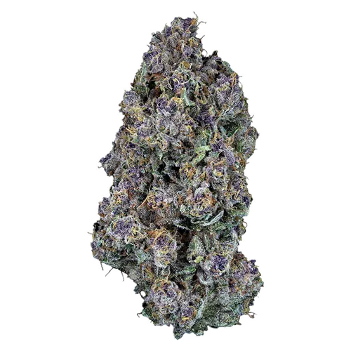 Product image of Triangle Queen - Woody Nelson Country Club - Dried Flower
