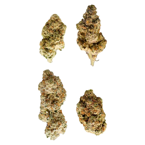 Bag of Nerdz - Terp Nerdz - Dried Flower