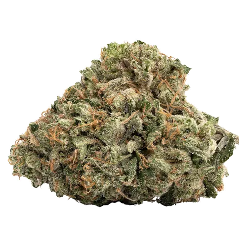 Product image of Gas Nasty (BMS x GMO) - WINK - Dried Flower