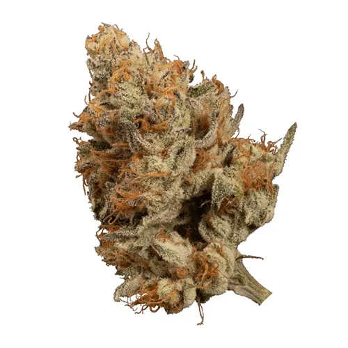 Product image of Bacio Punch #8 - OGEN - Dried Flower