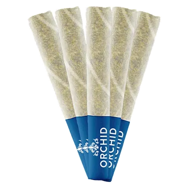 Product image of Jean Guy CBD - Orchid CBD - Joints