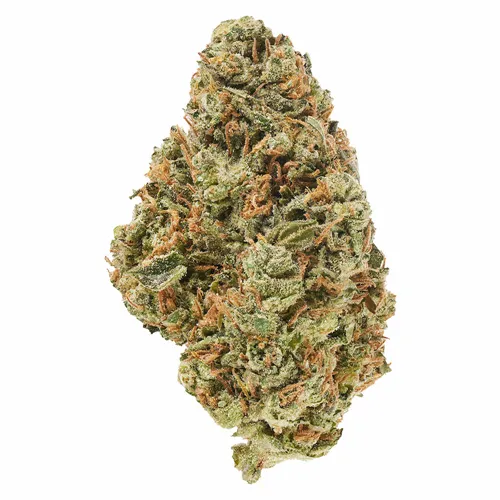 Product image of Alien Guy - Canaca - Dried Flower