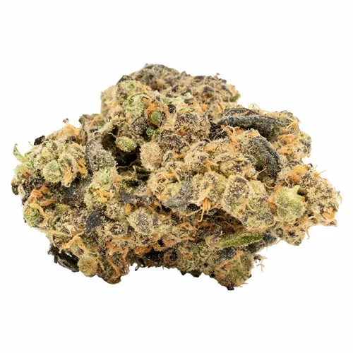 Lime MAC - DOJA - Dried Flower