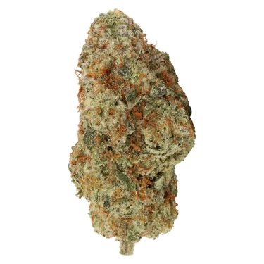 Product image of Myrtle Beach - Carmel - Dried Flower