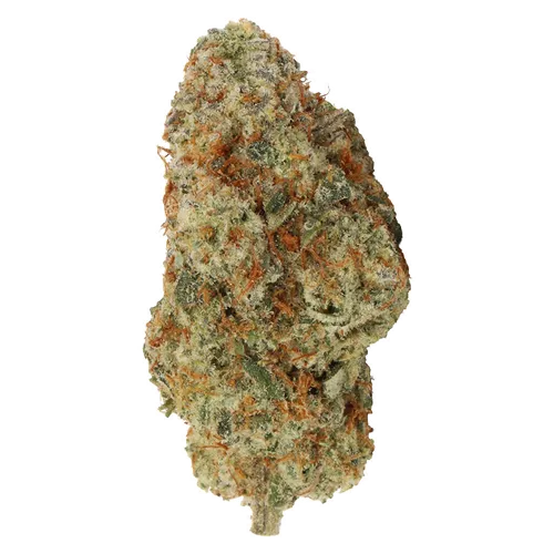 Product image of Myrtle Beach - Carmel - Dried Flower