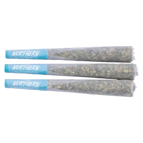 Product image of Galactic Guava - Northern Canna - Joints