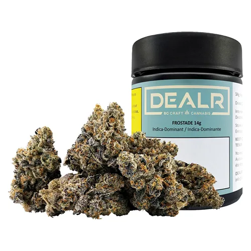 Frostade - Dealr - Dried Flower