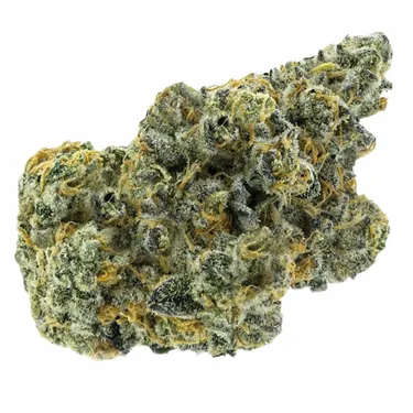 Product image of Apricot Frost & Orange Squeeze - Partake - Variety Flower