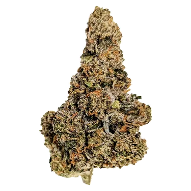 Product image of Gastro Pop Ultra - True Fire - Dried Flower