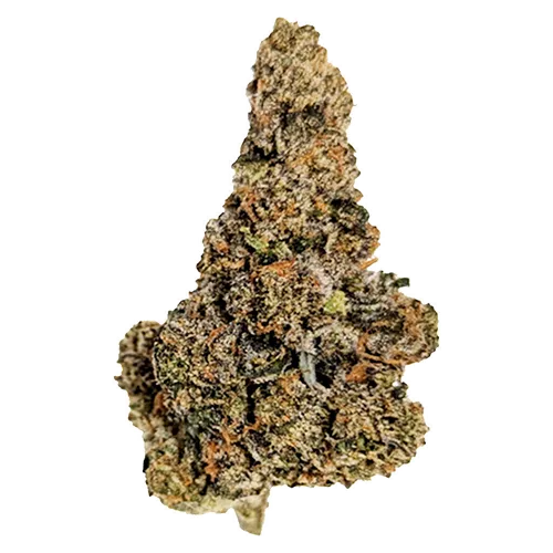 Product image of Gastro Pop Ultra - True Fire - Dried Flower