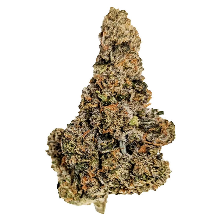 Product image of Gastro Pop Ultra - True Fire - Dried Flower