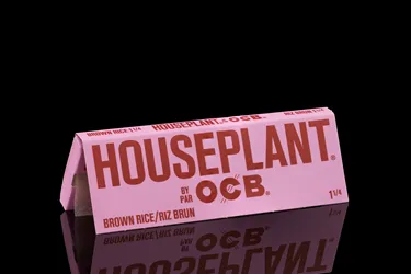 Product image of HOUSEPLANT by OCB