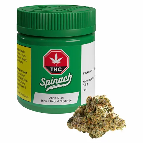 Alien Kush - Spinach - Dried Flower