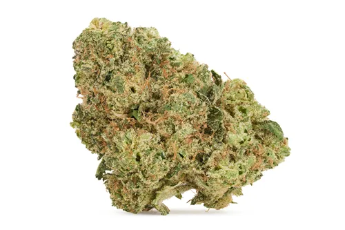 Product image of Black Sherb - The Original Fraser Valley - Dried Flower