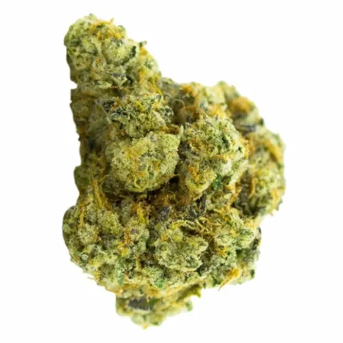 Animal Face Cookies - Carmel - Dried Flower