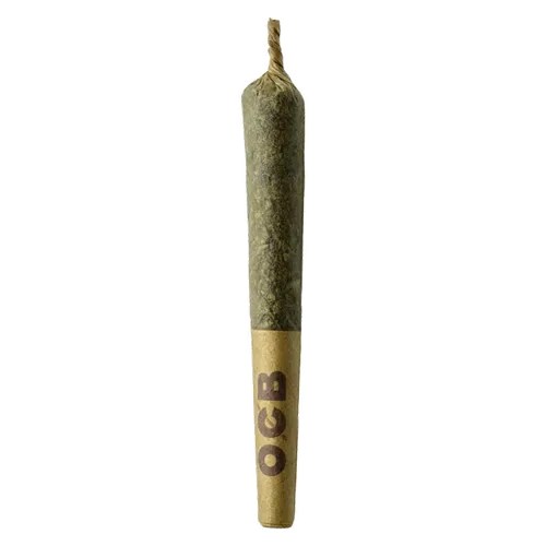 Product image of Dubb Bubbs Cured Resin - Sheeesh! - Infused Joints