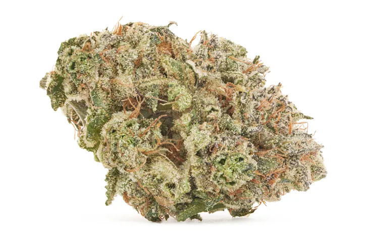 Product image of Strawberry Gary - Coterie - Dried Flower