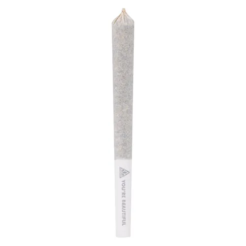 Product image of BC Organic Dancehall - Coast Mountain Cannabis - Joints