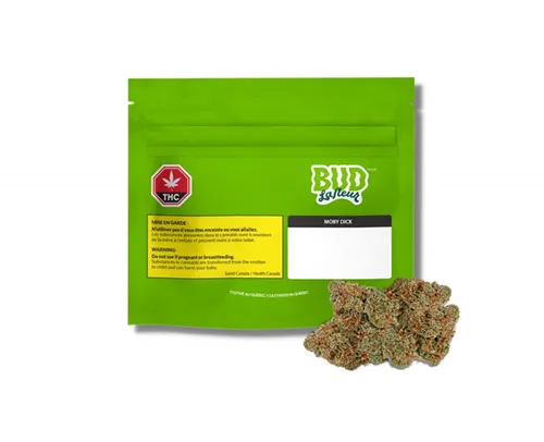 Product image of Moby Dick - Bud Lafleur - Dried Flower