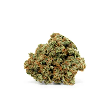 Product image of Ocean View - LBS - Dried Flower