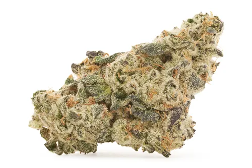 G13 Bx1 - BC 1/4 - Dried Flower
