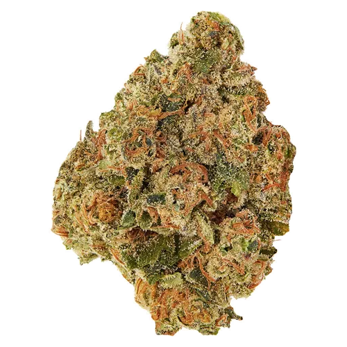 Pumpkin Spice - Good Supply - Dried Flower