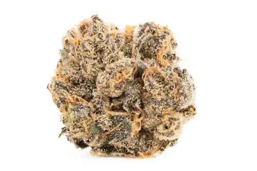 Product image of BC Organic Lemon Cherry Pie - Coast Mountain Cannabis - Dried Flower