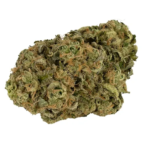 Product image of 91K - DOJA - Dried Flower