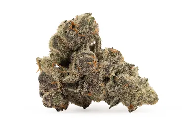 Product image of Gary Satan - Sixty Seven Sins - Dried Flower