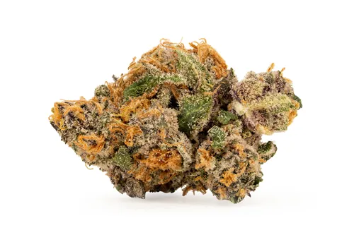 Product image of Honey Fresca - BC 1/4 - Dried Flower