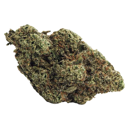 Munyunz - BOLD - Dried Flower