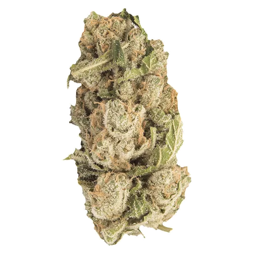 Product image of Sherblato - Contraband - Dried Flower