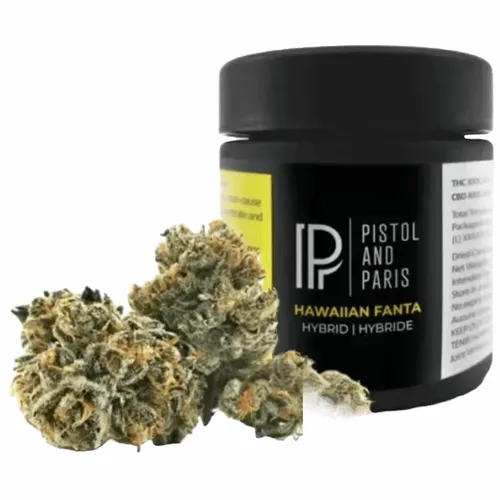 Product image of Hawaiian Fanta - Pistol and Paris - Dried Flower