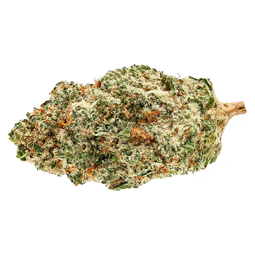 Product image of Pineapple God - Soar - Dried Flower