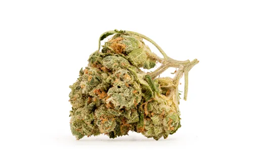 Product image of Alien Pebbles - Pure Sunfarms - Dried Flower