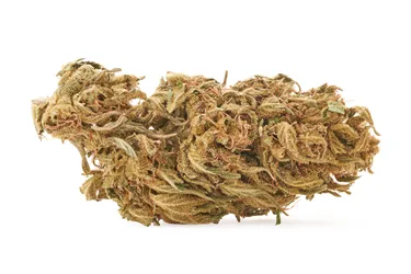 Product image of Certified Organic CBD Flower - Grown Here Farms - Dried Flower