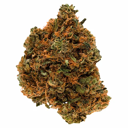 Phantom Slime Bag - Ghost Drops - Dried Flower