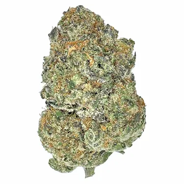 Product image of Orange Squeeze - Partake - Dried Flower