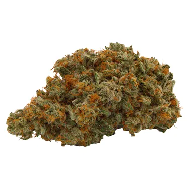 Product image of Lemon Up - Truro - Dried Flower