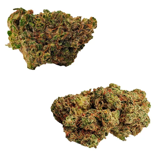 Rotating Duo - BOLD - Variety Flower