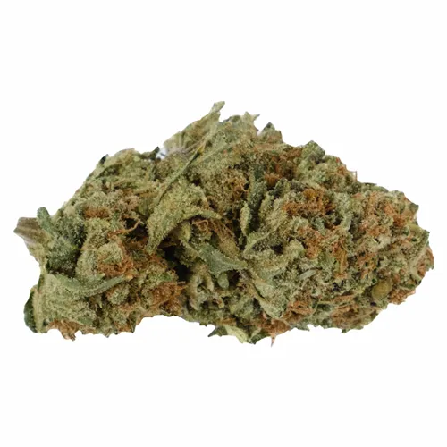 950 Series Florida Haze - Kolab Project - Dried Flower