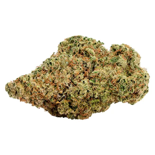Super Sativa - Tenzo - Dried Flower