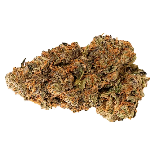 Product image of 3 Wheel Motion - D*gg lbs - Dried Flower